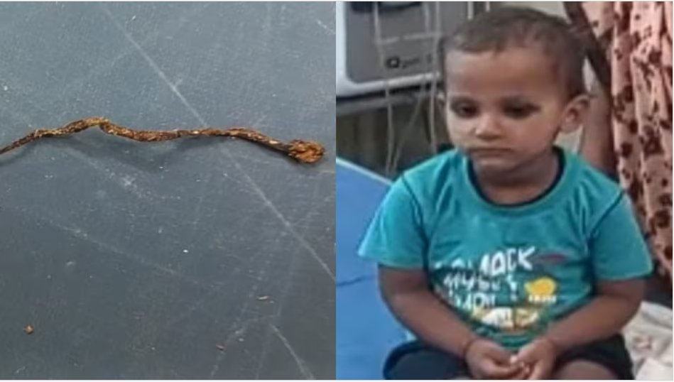 Farrukhabad Kid Chews Snake